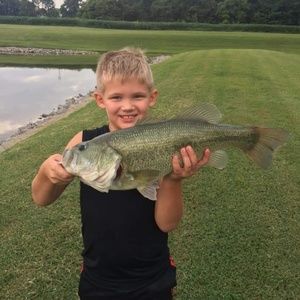 Meet your Posher, Leona